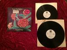 TODD RUNDGREN Something/Anything? VG+ 1972 RARE PROMO 2LP Bearsville 2BX 2066