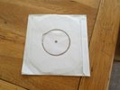 The Wildhearts The Bullshit Goes On Test Press single sided CLEAR