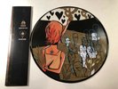 Alkaline Trio Hot Water Music Split Picture Disc Vinyl Gold Insert Rare