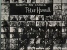 Peter Hammill Nadirs Big Chance NEAR MINT Charisma Vinyl LP