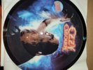OZZY OSBOURNE BARK AT THE MOON Original Picture Disc RARE new 12in