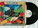 Ligabue - Lambrusco Coltelli Rose & Pop Corn - Vinyl, LP - 9031 75269-1 - 1991