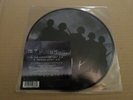 MY CHEMICAL ROMANCE - THE GHOST OF YOU - PICTURE DISC - EXCELLENT / EX