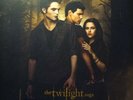 The Twilight Saga: New Moon [LP] (Vinyl, Nov-2009, 2 Discs, Atlantic USA)