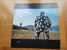 Pink Floyd Delicate Sound of Thunder vinyl LP/record