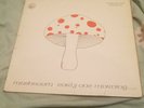 Mushroom - early one morning.Irish original.  +extra