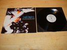 Bad Brains - The Youth Are Getting Restless - CARLP8 - LP Vinyl Record - PUNK