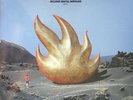Audioslave s/t 2xLP Vinyl Chris Cornell Soundgarden Rage Against Machine Record