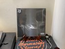 Little Simz ?– Grey Area LP NUOVO
