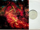 NO COMMENT- 87-93 The Best of Live/Common Senseless etc LP (1999 Vinyl EX)