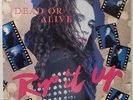 Dead Or Alive ?– Rip It Up Rare 1987 Orig *PROMO LP* (Near Mint)
