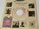 1968 Rocksteady - MUSICAL FEVER - The Enforcers - MUZIK CITY JA BLANK 7