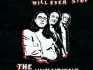 THE UNKNOWNS: NOTHING WILL EVER STOP (COLOUR ) +LP vinyl+