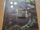Goatmoon Bizarre Uproar Vaskivittu Vinyl EP