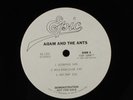 ADAM & THE ANTS: that voodoo + 4 Epic 12