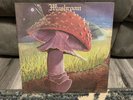 Mushroom - Freedom You’re A Woman - Rare Original 1978 Psych Sealed Lp