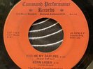unknown lo-fi outsider psych EP CASTLE CONGLOMERATION ? Mp3 Command Performance
