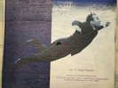 Maroccolo Gianni Y. Klein Sonata per soli bassi 7