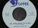 CHARLIE PHIPPS: put your rocks in a box / the way you say it TOPPER 7