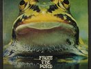FROGGIE BEAVER: from the pond FROGGIE BEAVER 12