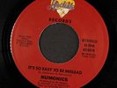 NUMONICS: one more try / it's so easy to be mislead HODISK 7