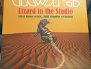 The Doors Lizard In The Studio  Green marble Vinyl, Jim Morrison, incld outtakes