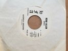 BEAU ALLEN GEORGIA GROUND/ FALLEN ANGEL 45-RARE PROMO