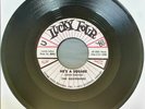The Belvederes - He's A Square  -NM-  Rockabilly 45rpm
