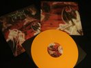 Immolation ?Dawn Of Possession LP vinyl LTD 300 ORANGE still in shrik NEAR MINT