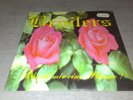 broilers - schenk mir eine blume - 7