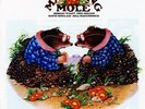 ID28z - Matching Mole - Matching Mole - vinyl lp - New