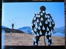 PINK FLOYD - DELICATE SOUND OF THUNDER  - VINYL LP  ITALY 1988  VG++/EX+