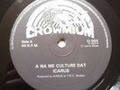 Icarus - A Na Me Culture Dat - Reggae Roots 12