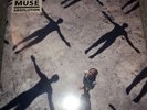 Muse : Absolution Vinyl 12