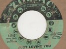 Ruby Andrews Just Loving You Zodiac Soul Northern motown