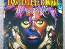 David Lee Roth 12