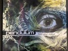Pendulum - Hold Your Colour - Vinyl (Original Pressing)