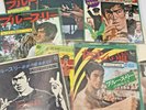 Bruce Lee ??? Green Hornet Enter The Dragon other record  14 sheets set VINYL LP