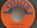 Arthur Gunter  WE'RE GONNA SHAKE / LUDELLA (RARE BLUES 45) PLAYS VG+ TO VG++