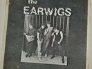 The Earwigs - She's So Naive 1982 Punk Rock Alt Cover RARE