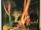 ECHO AND THE BUNNYMEN - CROCODILES - Original Vinyl LP - 1980 - Good Condition