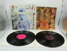 By The Way - Red Hot Chilli Peppers Double Vinyl