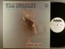 Tim Buckley  Blue Afternoon   White Label Promo  Loner; Folk Rock
