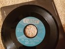 Jerry Landis Paul Simon Lone Teen Ranger Lisa 45 7