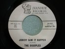 FUZZ GARAGE  ( THE DISCIPLES ) JUNIOR SAW IT HAPPEN / ONLY THE BLIND CAN SEE