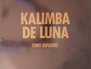 DISQUE MAXI 45 TOURS KALIMBA DE LUNA TONY ESPOSITO
