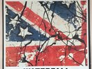The Stone Roses Waterfall 12” Vinyl UK Single + Free Print 1991 Very Good