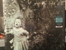 SOUL ASYLUM  Let Your Dim Light Shine NM CLEAR BLUE SWIRL VINYL 1/750 HYPE