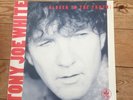 Tony Joe White Closer To The Truth VINYL LP