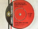 LITTLE JERRY WILLIAMS: 